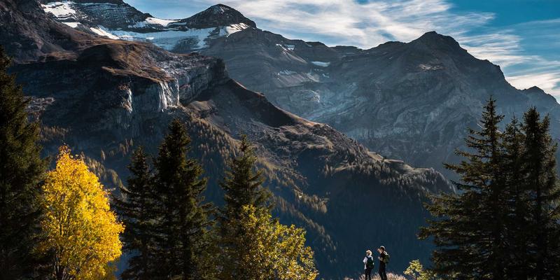2024年济南网站建设趋势：融合SEO优化与网络推广的智能营销新生态