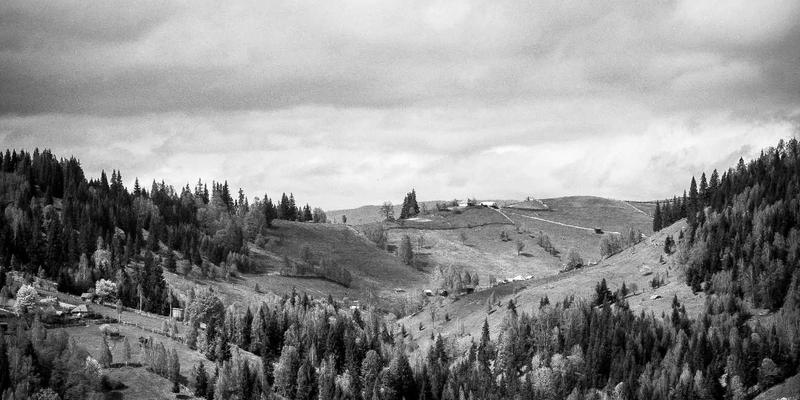 济南企业官网建设中的品牌视觉传达：色彩、字体与版式的设计策略如何驱动数字营销与SEO优化