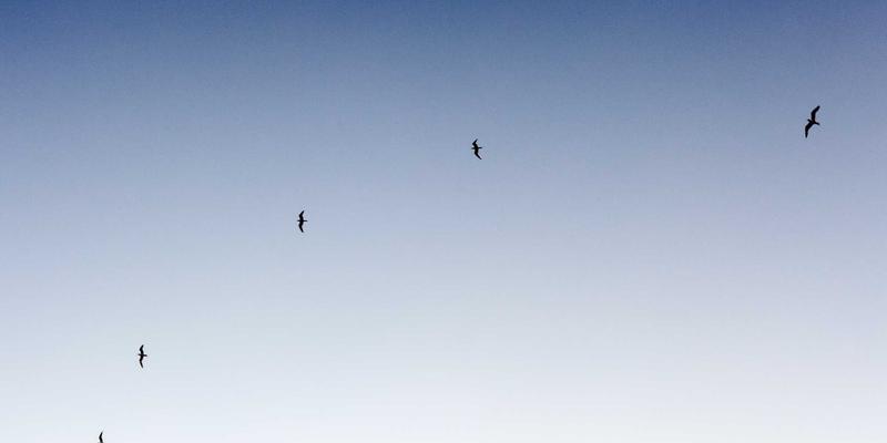 济南企业官网设计如何体现品牌特色？从建站到SEO优化的完整指南