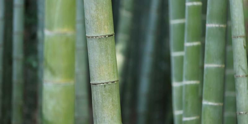 济南企业建站实战指南：掌握这4个核心技巧，打造高转化SEO友好型网站