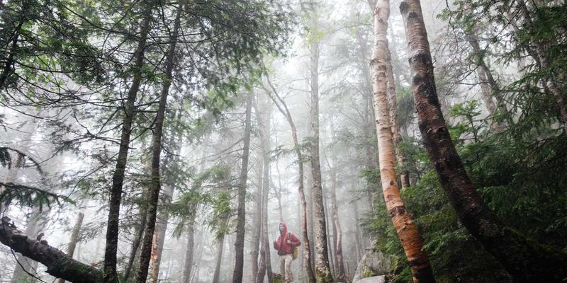 济南企业网站建设指南：WordPress、Drupal与定制开发的CMS选型深度解析