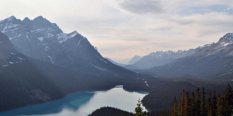 济南网站安全建设指南：HTTPS、防火墙与数据备份的三大必备措施