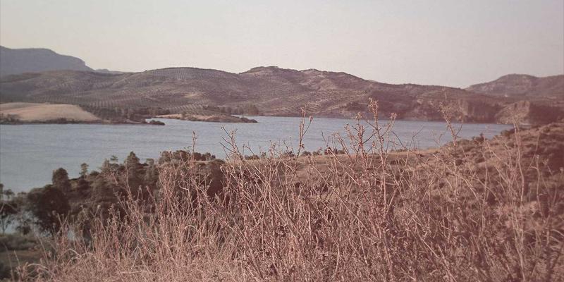 济南网站建设中的无障碍设计：遵循WCAG标准，如何同时提升网站包容性与SEO排名