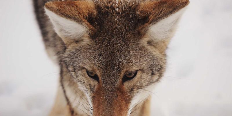 济南网站建设公司哪家专业且性价比高？数字营销时代的企业建站与SEO优化指南