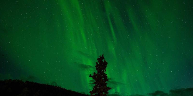 济南网站建设如何整合社交媒体：打造品牌互动与流量闭环的SEO优化与数字营销策略