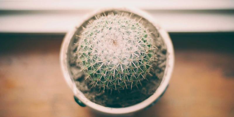 济南网站建设如何通过高性能架构提升本地企业网站的加载速度与用户体验