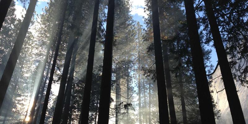 济南网站建设是什么？企业数字化转型的基石与网络推广起点